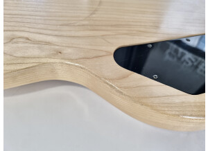 Gibson SG Special Raw Power (58494)