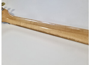 Gibson SG Special Raw Power (62044)