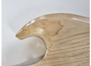 Gibson SG Special Raw Power (60082)