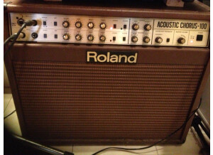 Roland AC-100