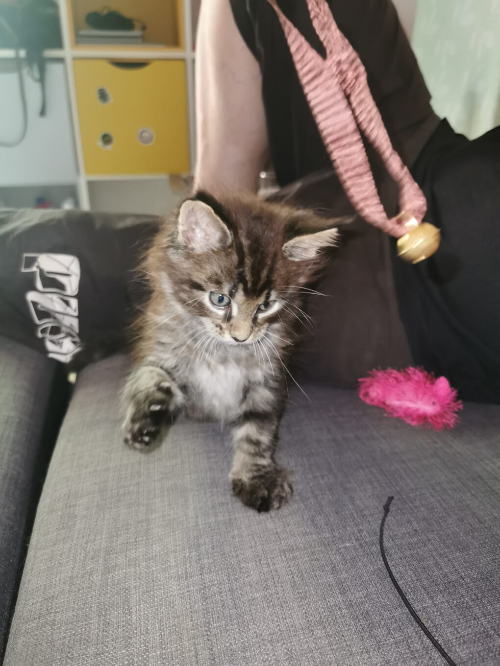 6489998.jpg 6489998.jpg