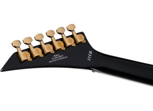 X Signature Scott Ian King V KVXTBackHead