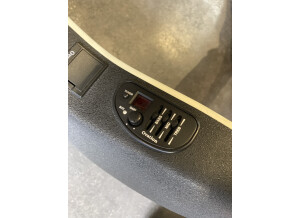 Ovation Celebrity Standard CS28P (35546)