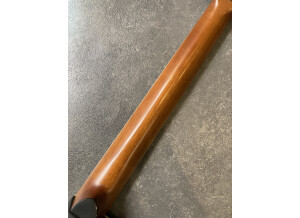 Ovation Celebrity Standard CS28P (45307)