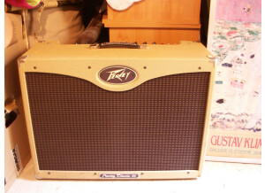 Peavey Classic 50/212 (Discontinued) (13969)