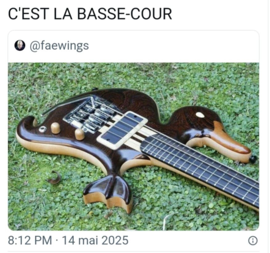 6491166.jpeg 6491166.jpeg