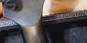 Schecter Banshee GT FR S sustainiac echange possible