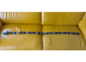 Fender 2" Monogrammed Strap (64200)