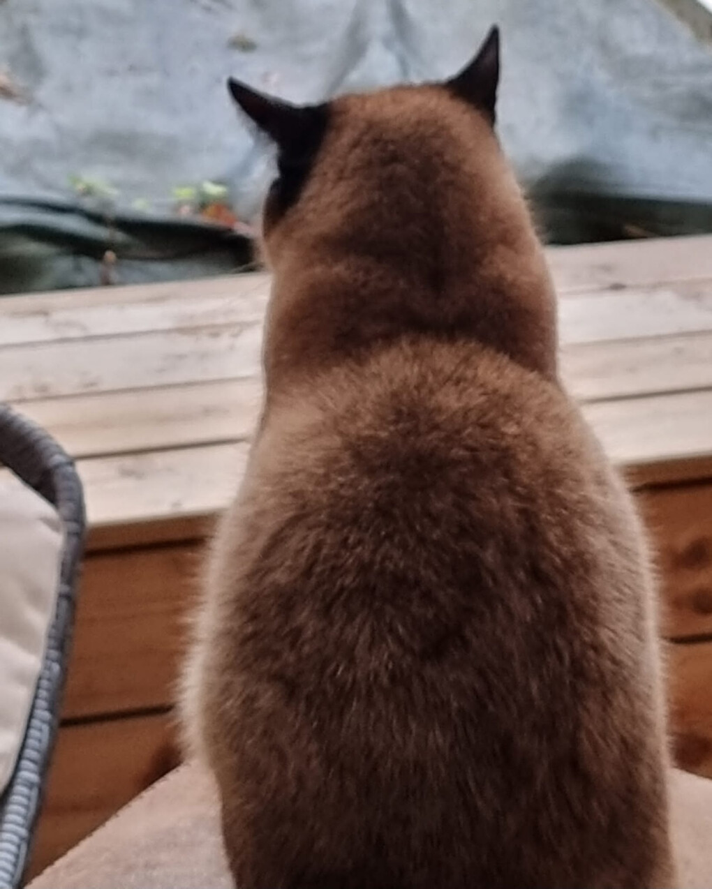 6492332.jpg 6492332.jpg