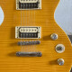 Slash "AFD" Les Paul Special-II Slash "AFD" Les Paul Special-II
