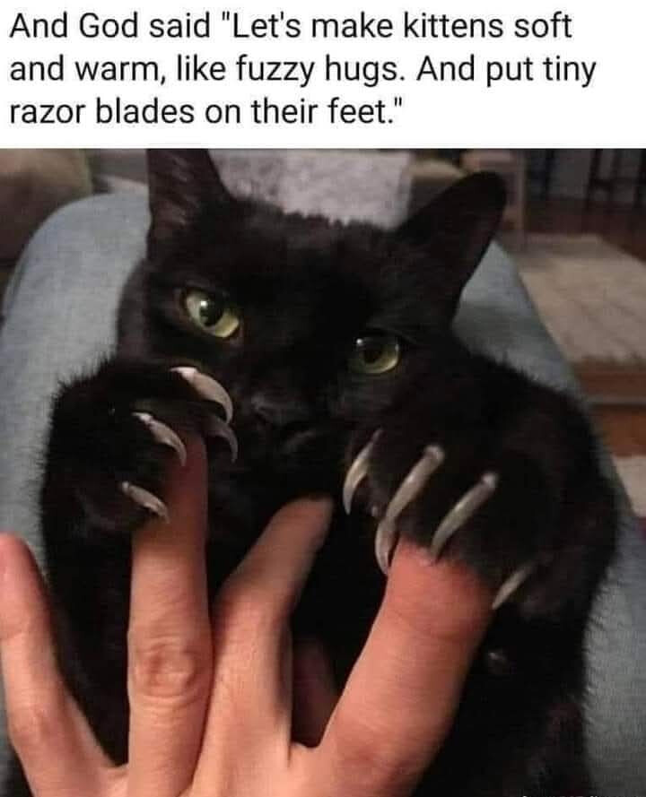 6492716.jpg 6492716.jpg