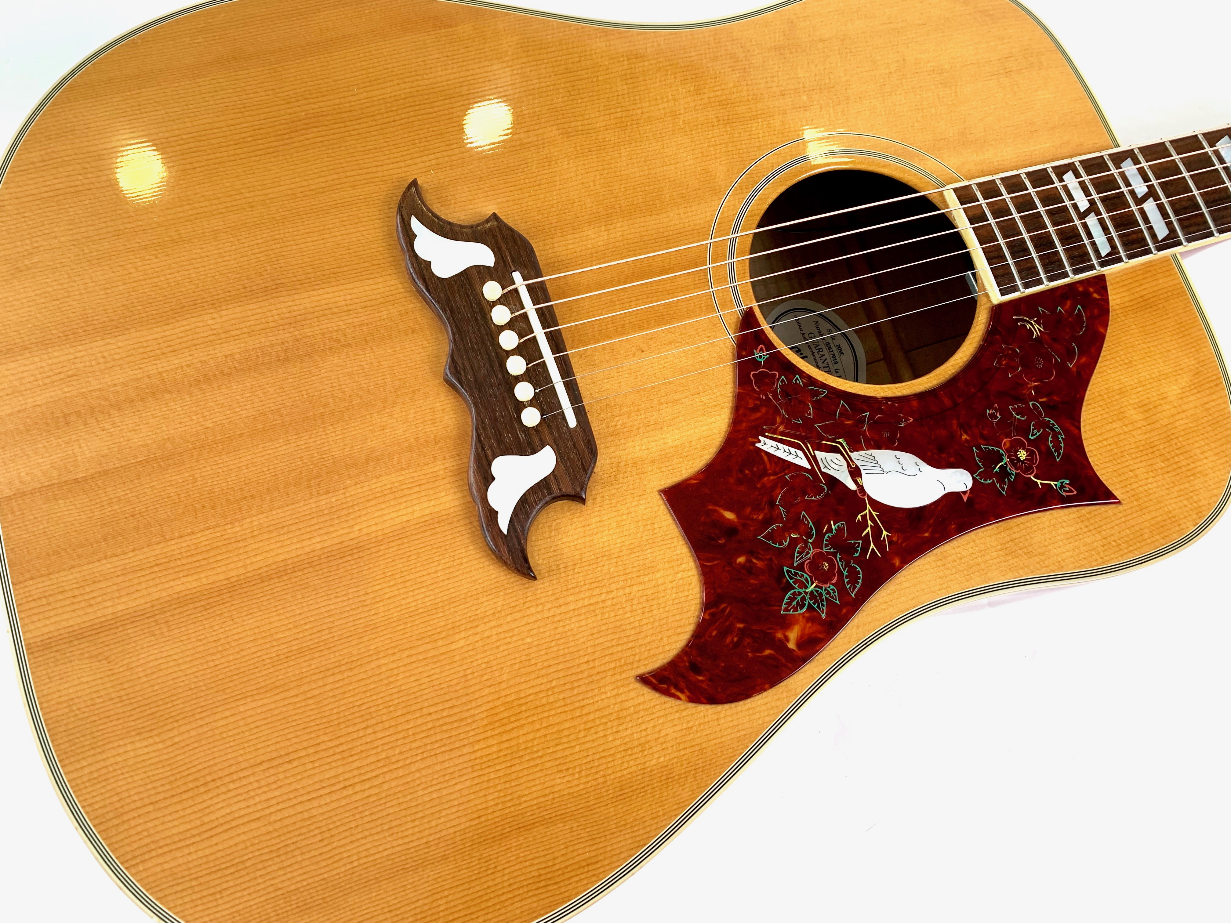 Gibson Dove (21162)