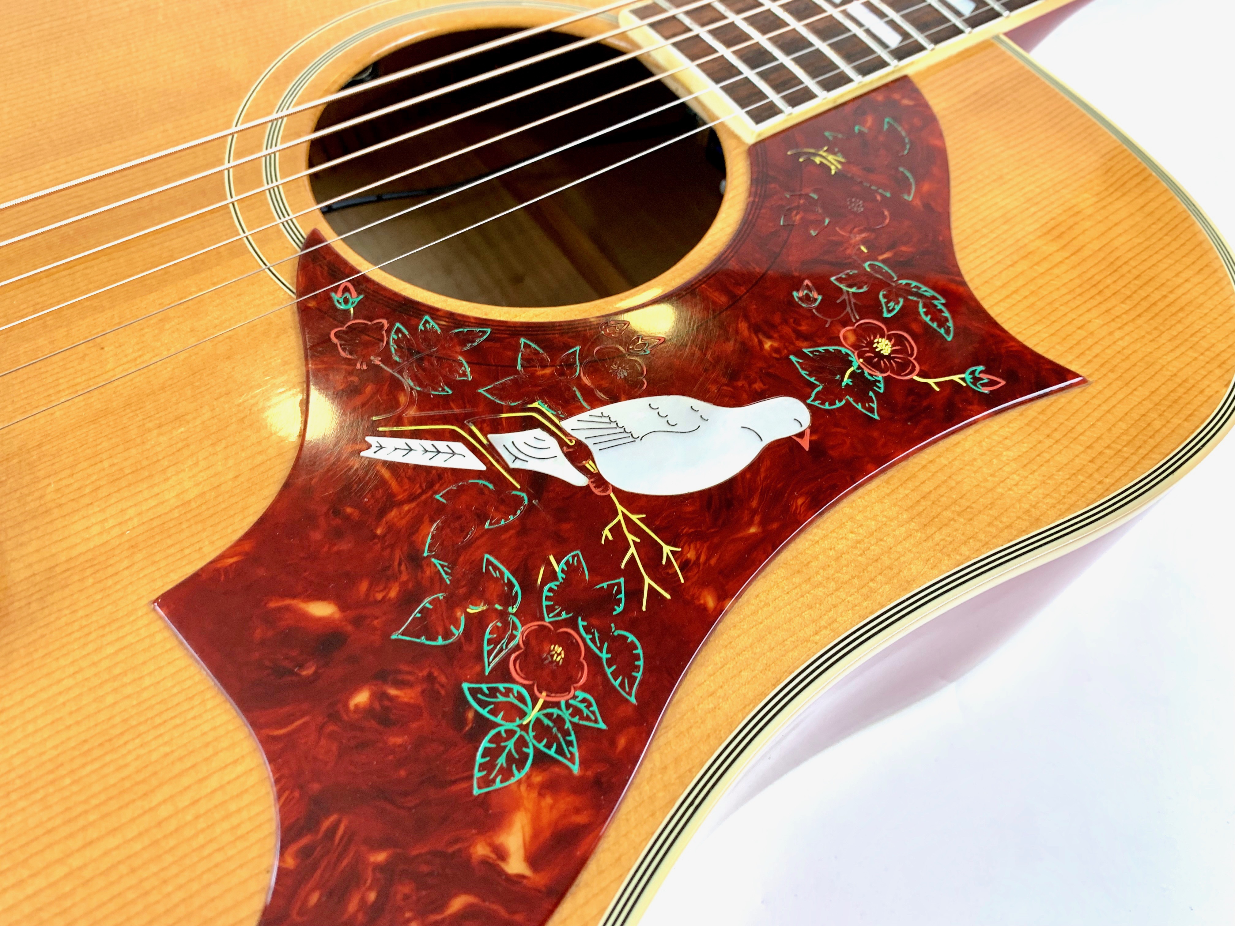 Gibson Dove (57028)