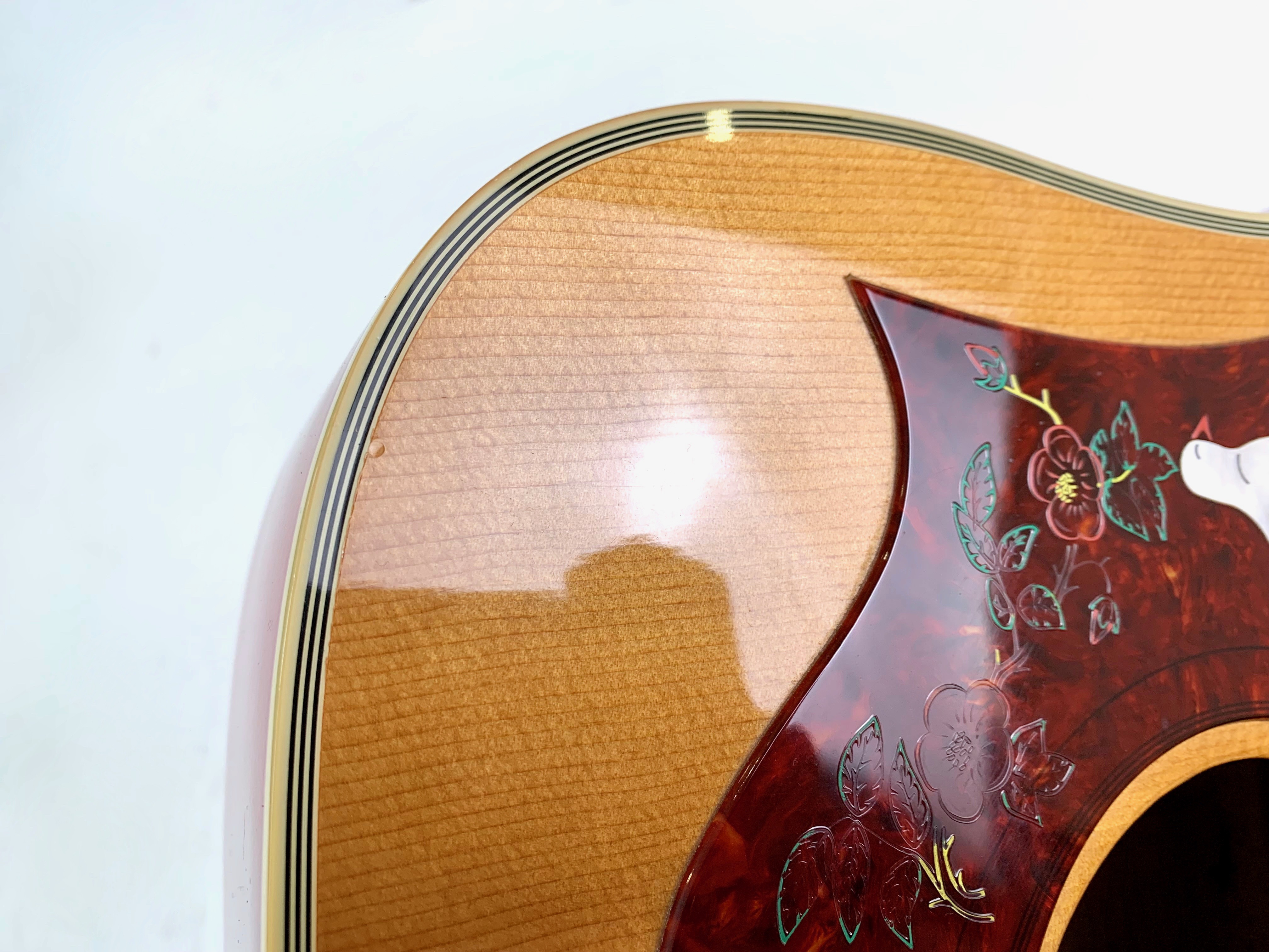 Gibson Dove (12720)