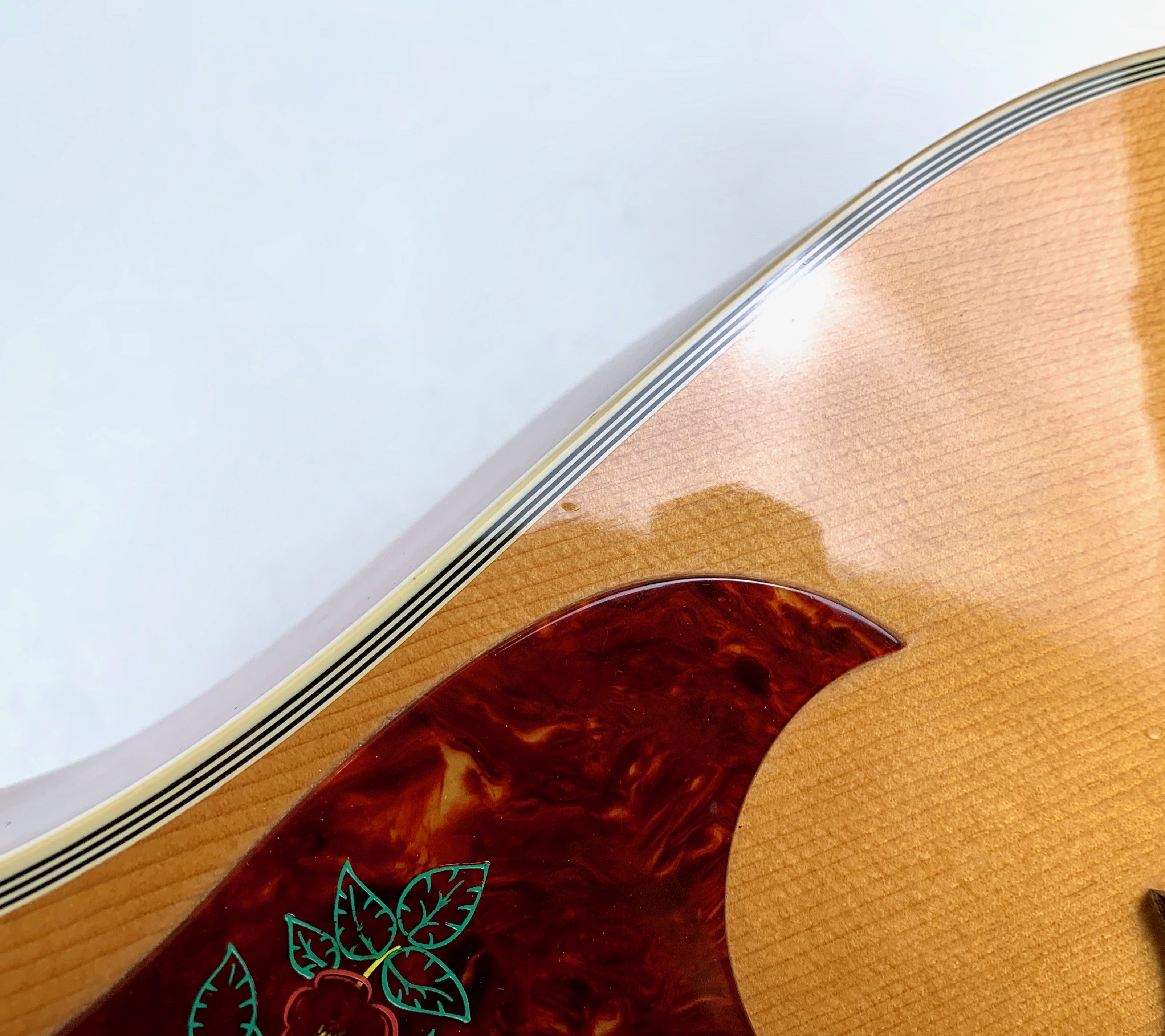 Gibson Dove (52093)