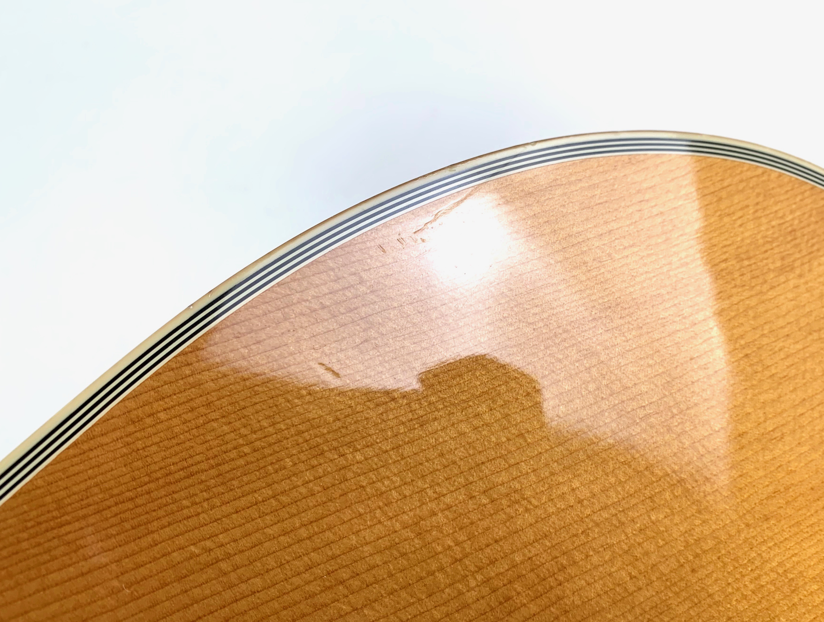 Gibson Dove (49230)
