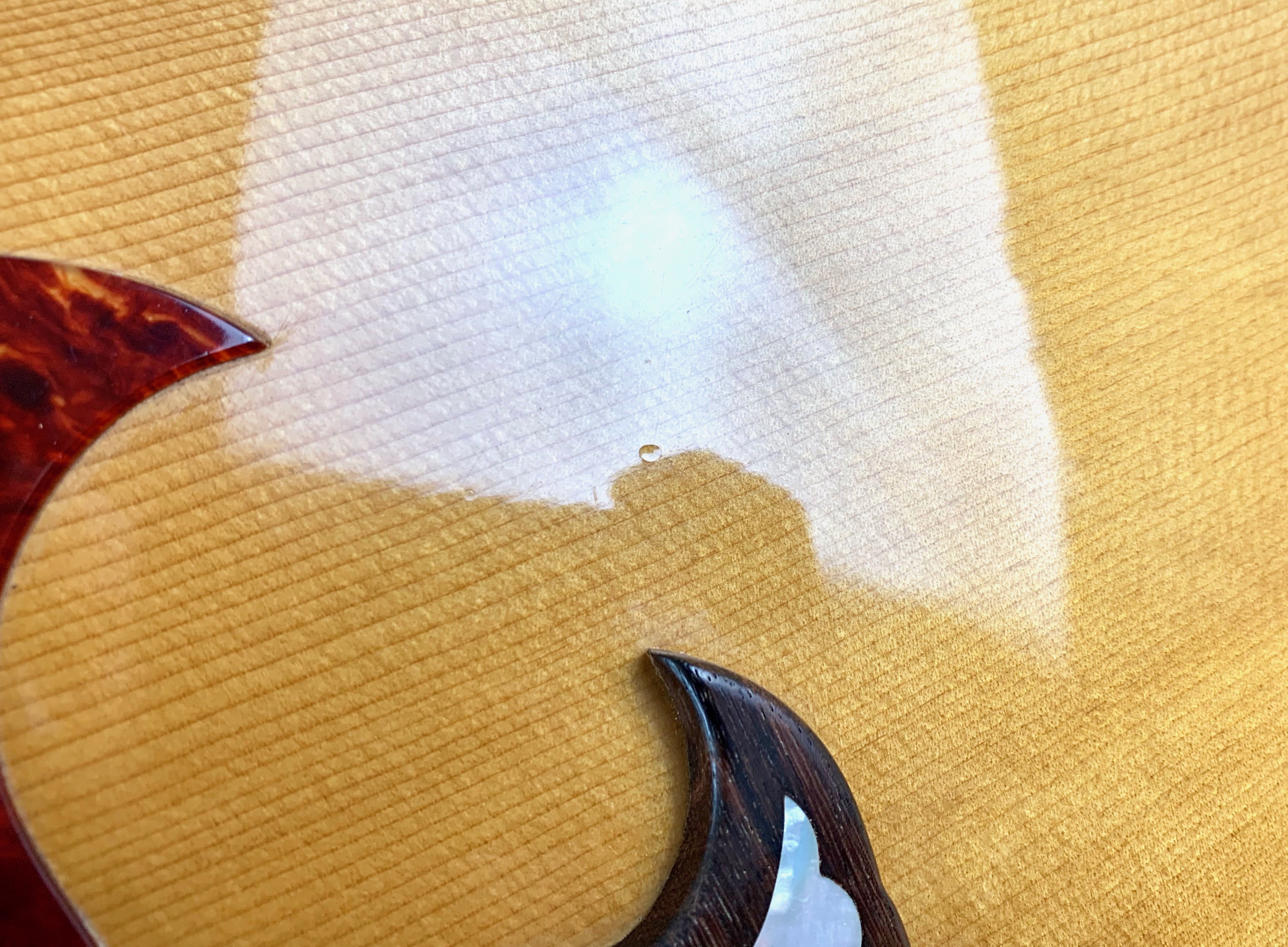 Gibson Dove (58639)