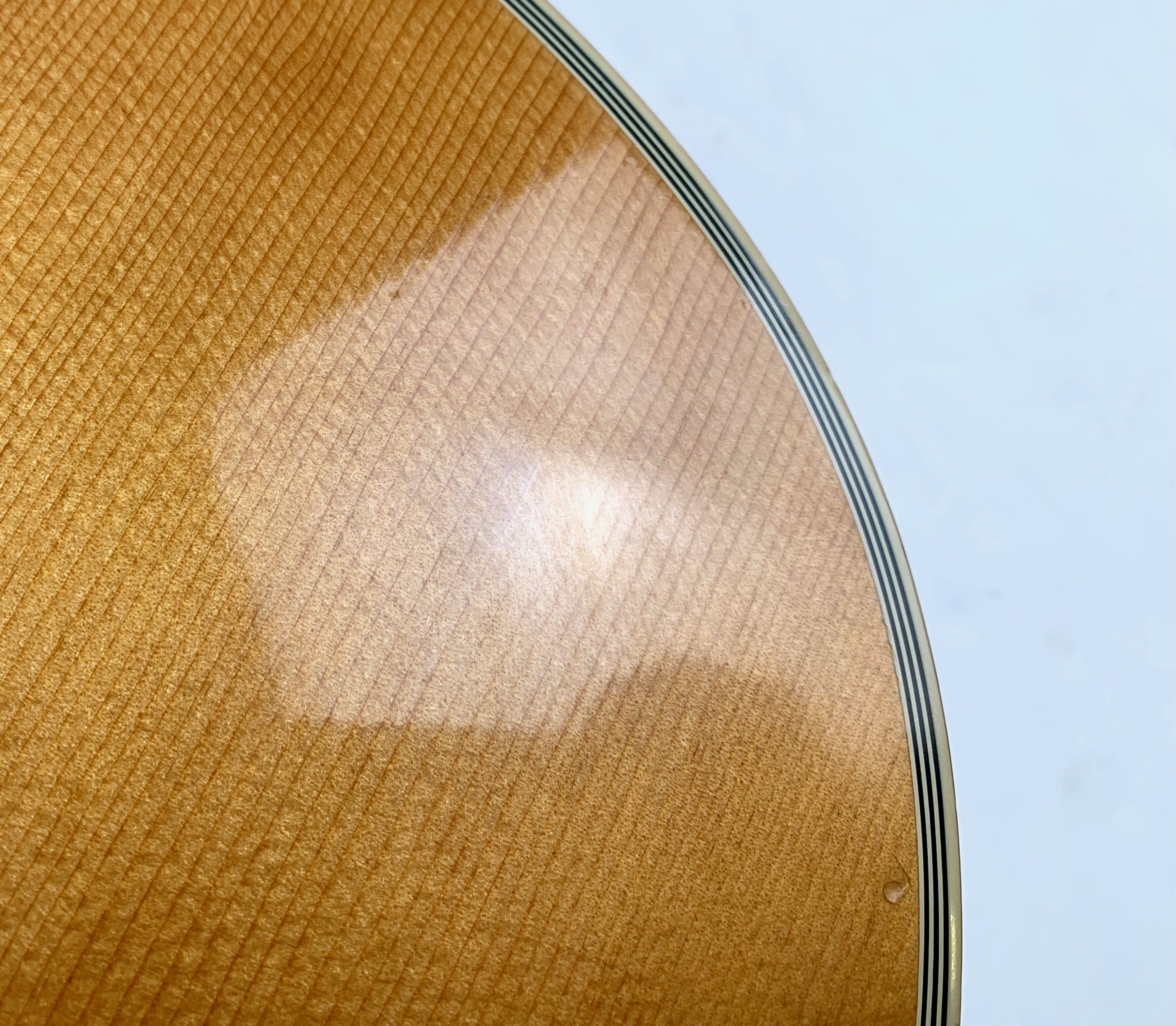 Gibson Dove (94345)