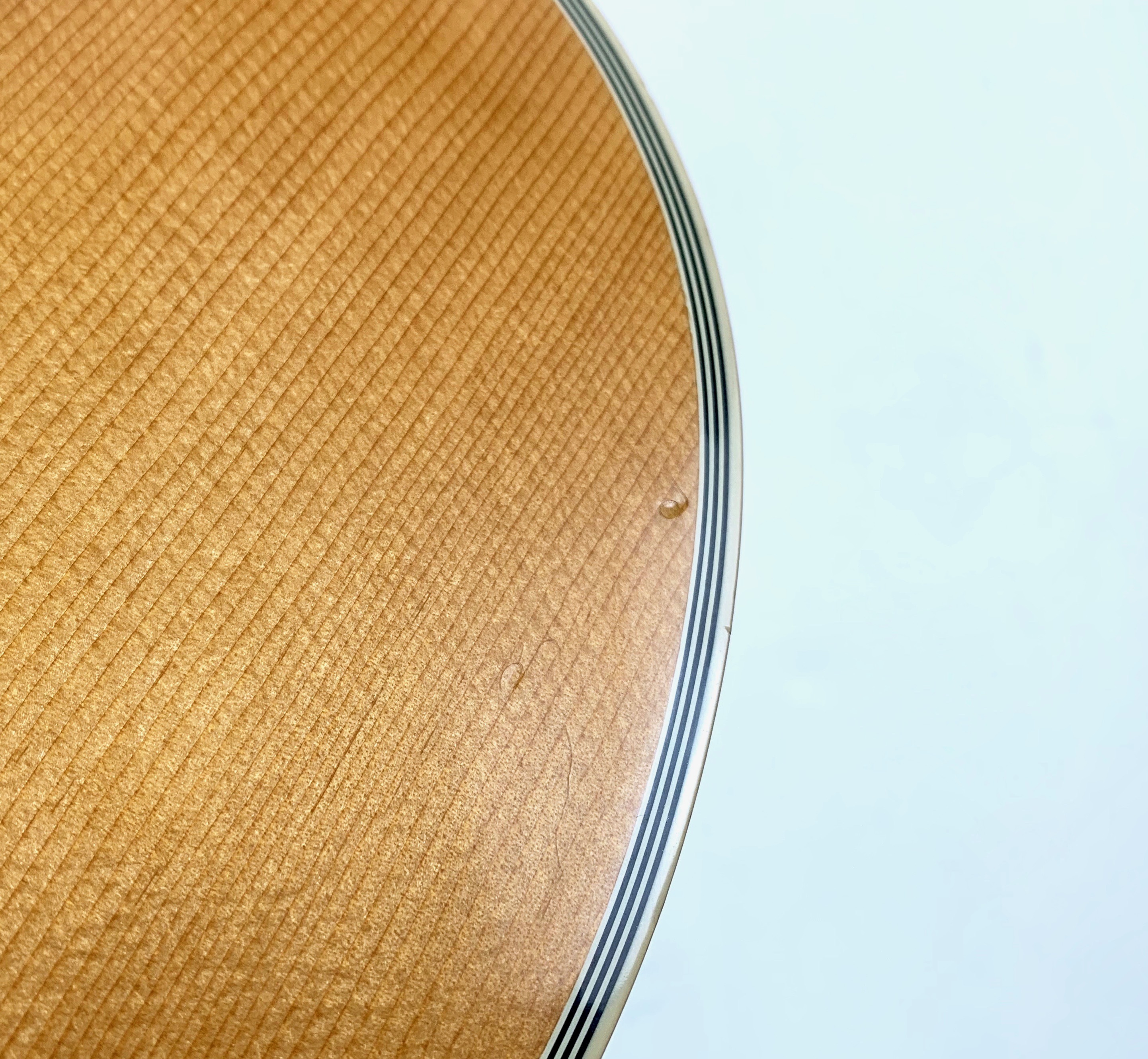 Gibson Dove (60859)