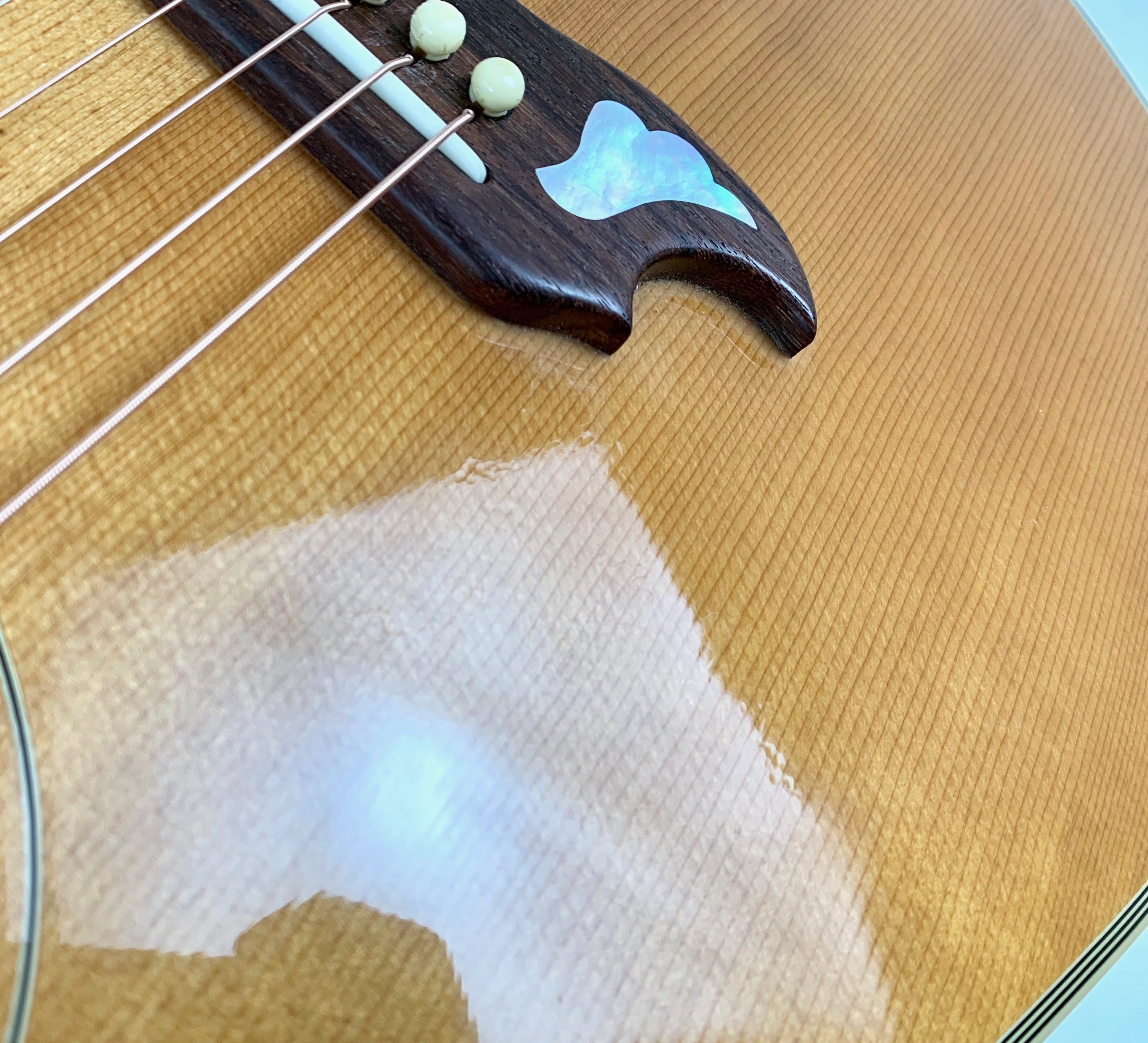 Gibson Dove (29328)