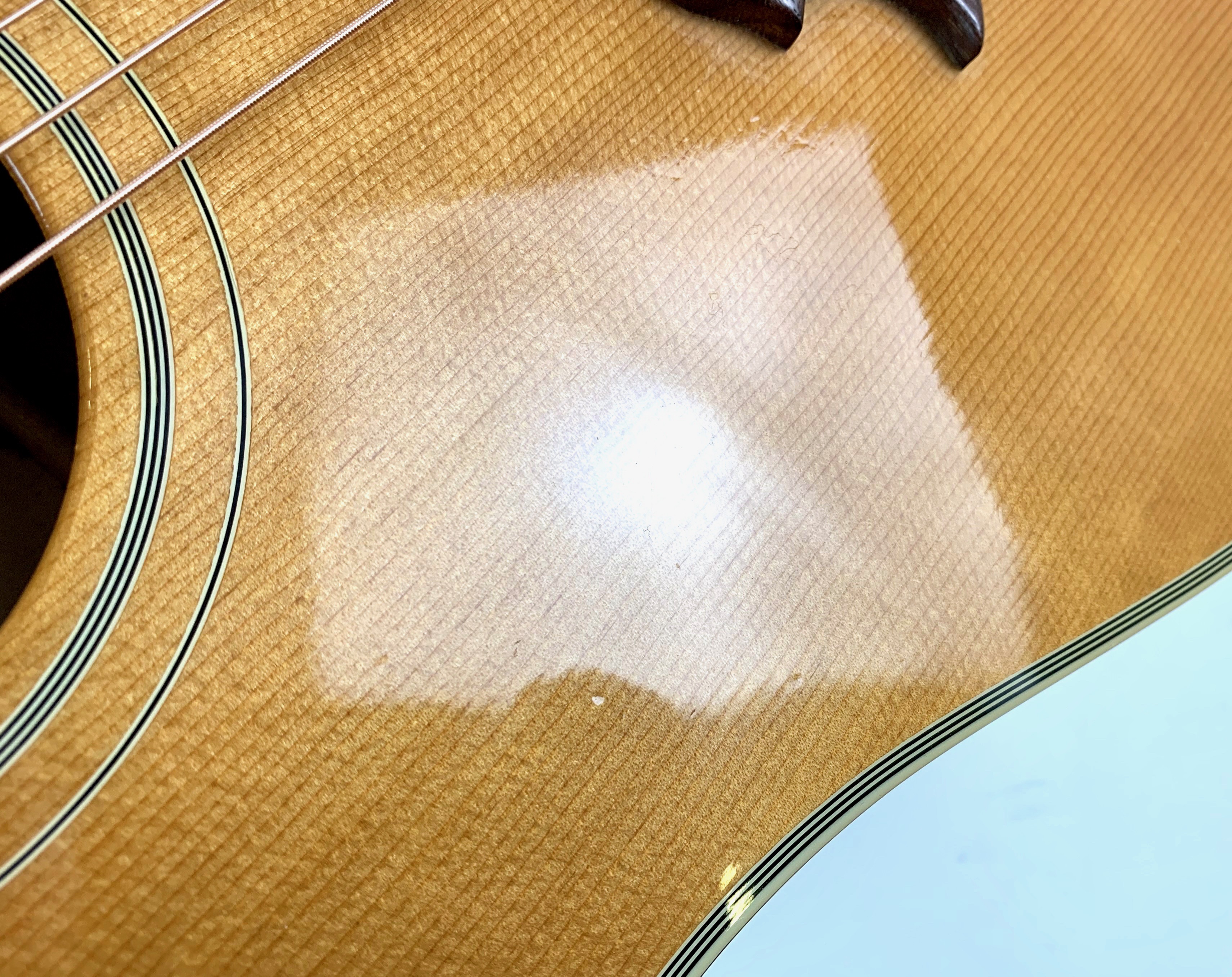 Gibson Dove (70307)