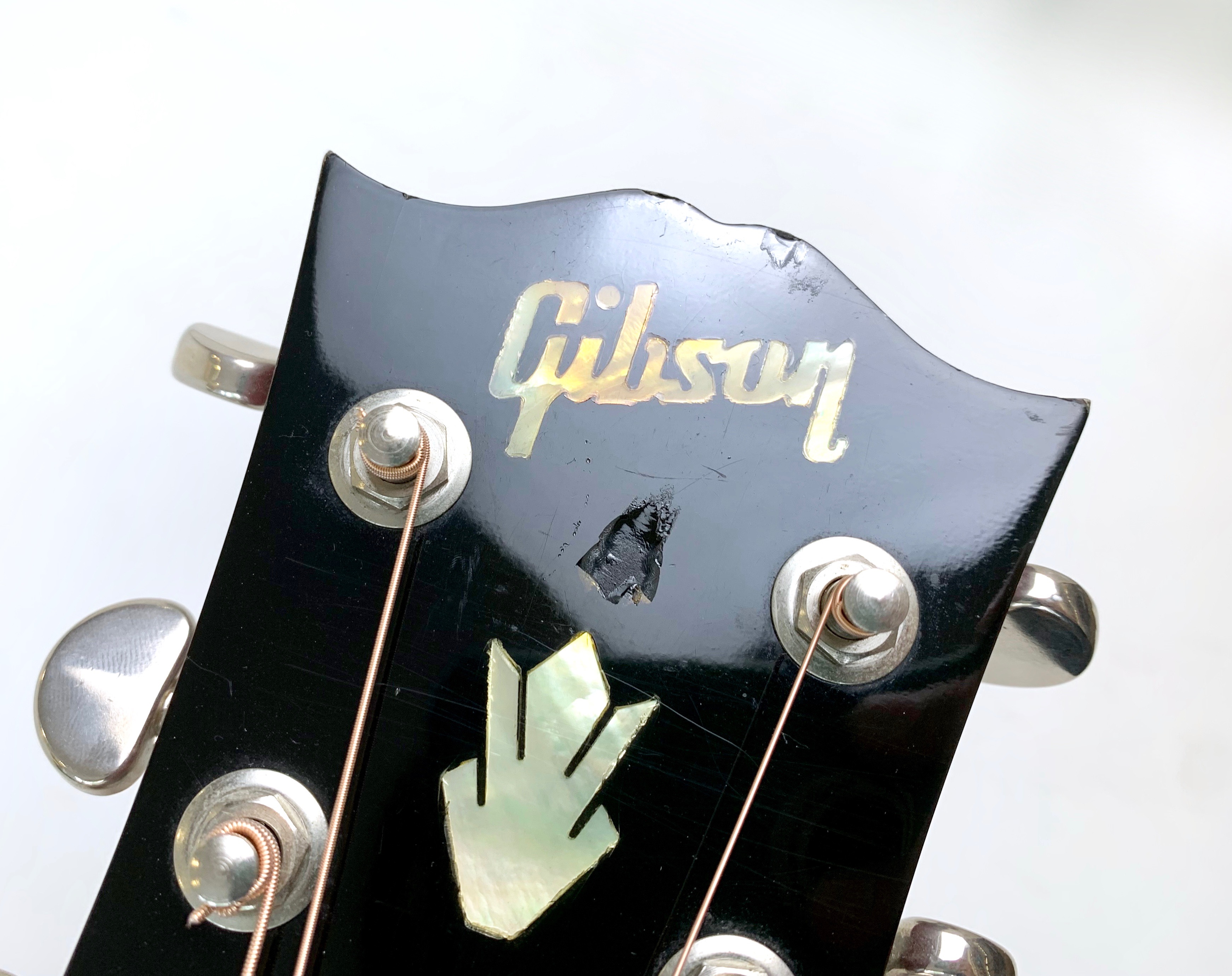 Gibson Dove (91492)
