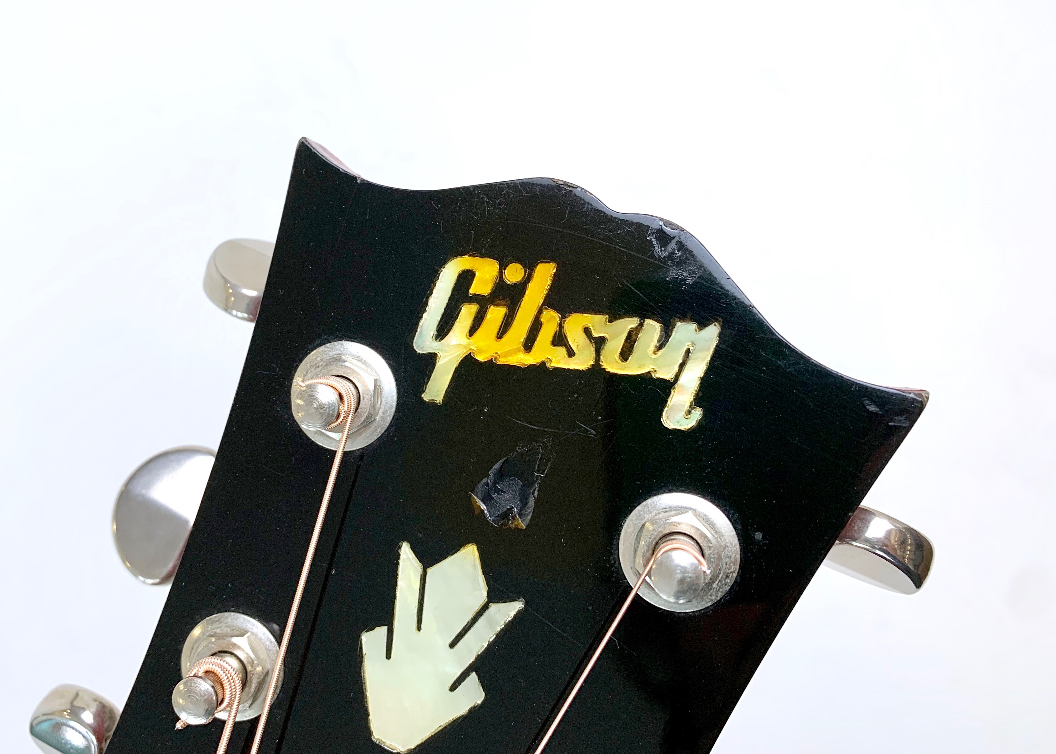 Gibson Dove (24599)