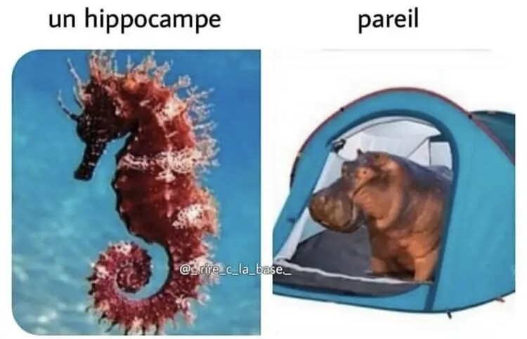 6493238.jpeg 6493238.jpeg