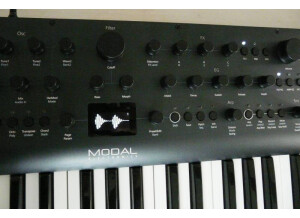 Modal Electronics Argon8X (24599)
