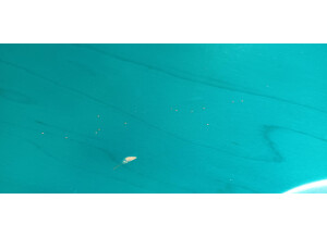 Gibson SG Special Raw Power (51783)