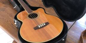 Vends CORT SJB6FX FL