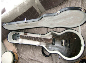 Gibson Les Paul BFG (9420)