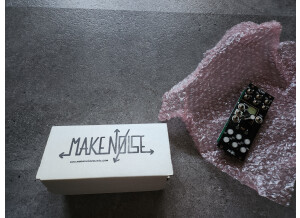 Make Noise Tempi (92276)