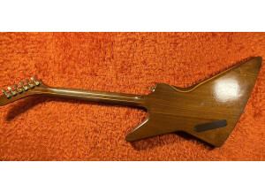 gibson-explorer-e2-4892337@2x.jpg