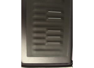ROLI Seaboard Rise 49 (77600)
