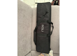 ROLI Seaboard Rise 49 (38717)