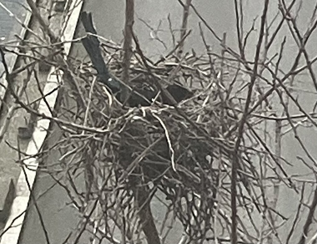 6497966.jpeg 6497966.jpeg