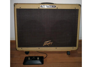 Peavey Classic 50/212 (Discontinued) (91816)