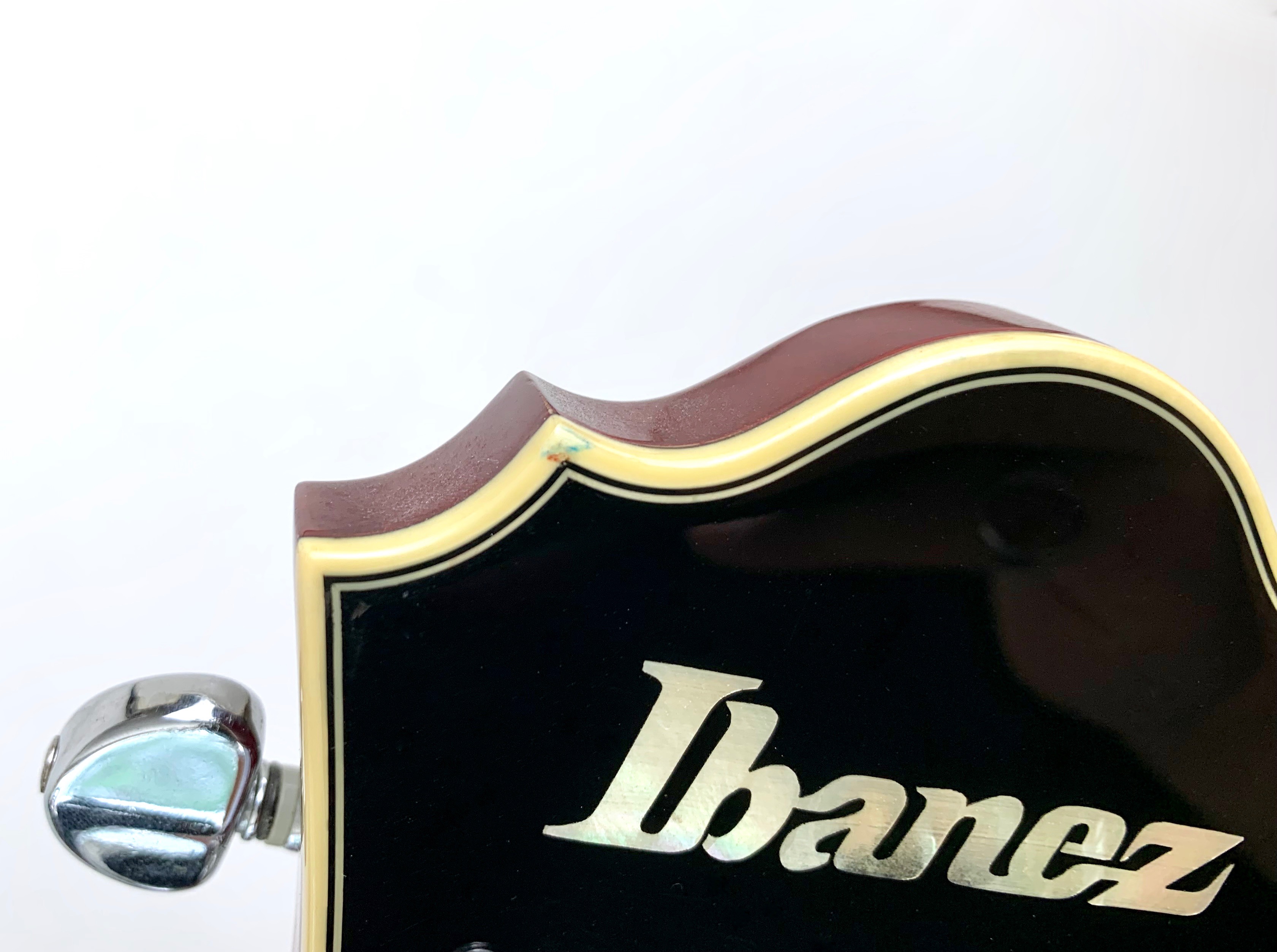 Ibanez AFS75T (67067)