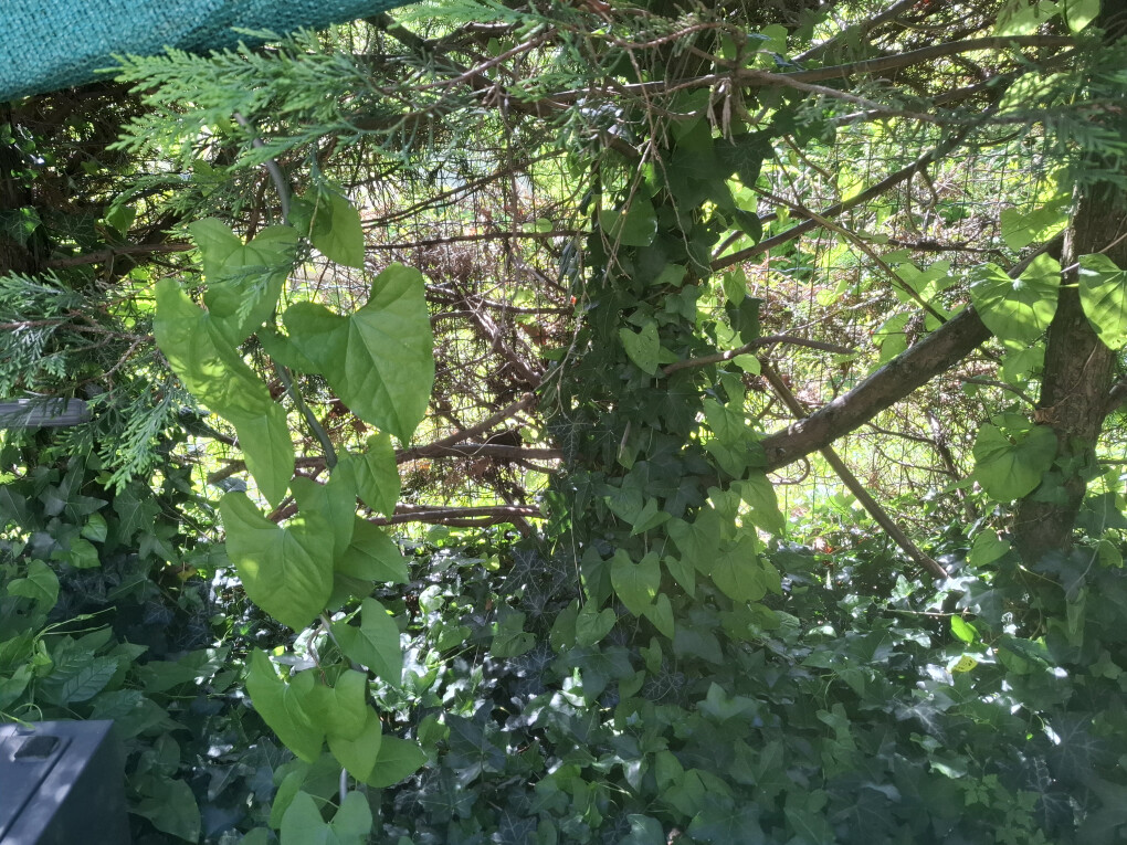 6499144.jpg 6499144.jpg