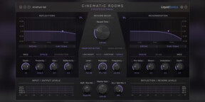 Attention il s'agit de la version PRO- Cinematic Pro, frais de transfert Ilok inclus dans le prix ;)