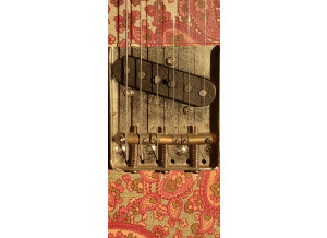 Screenshot 20250509-211950 Gallery