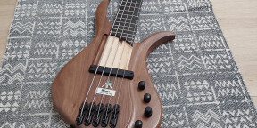 Ibanez AFR 5 Cordes Magnetic + Piezo