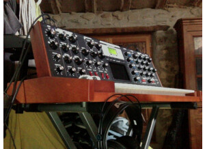 Moog Music Minimoog Voyager Performer Edition (20643)