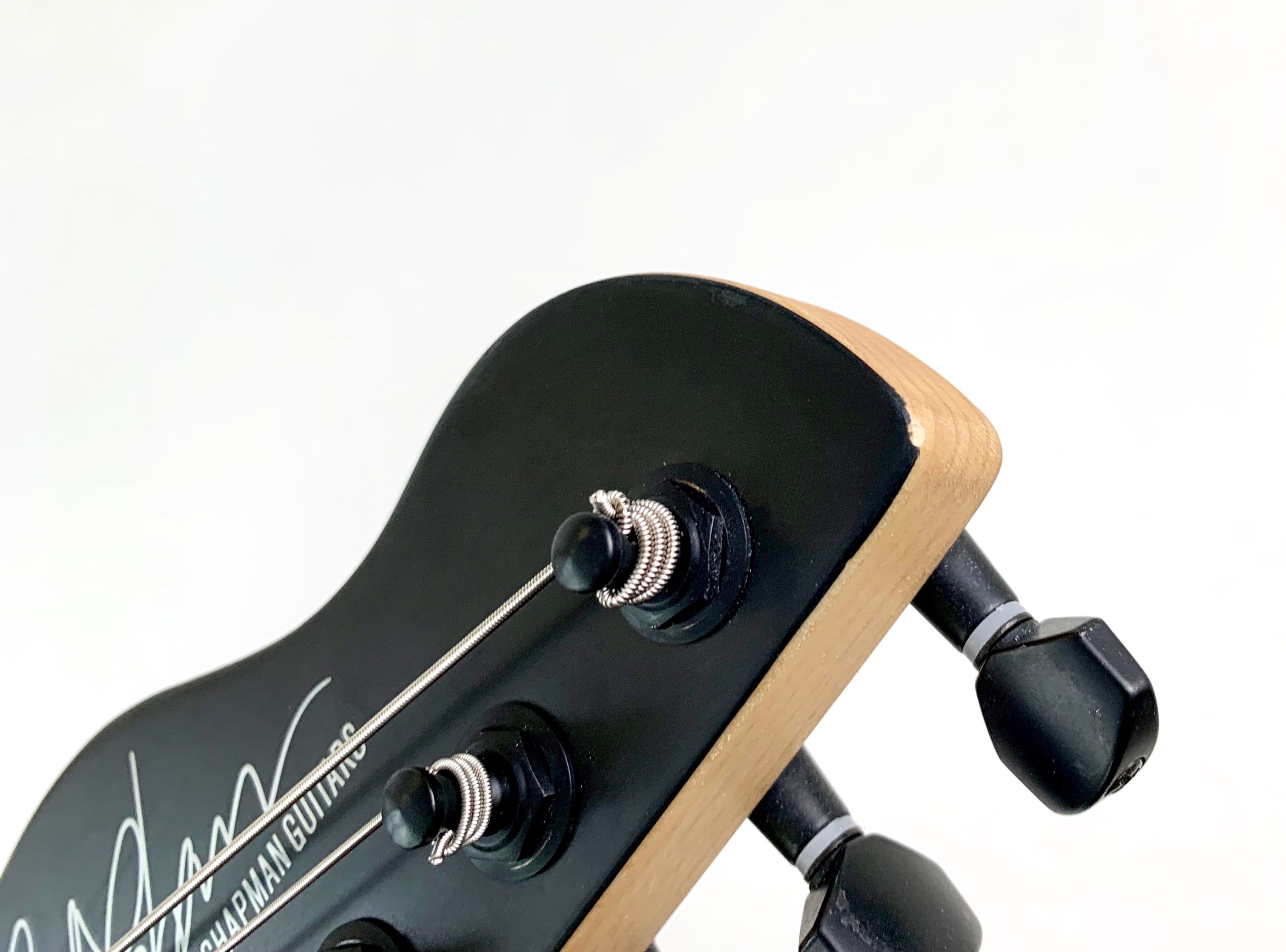 Chapman Guitars ML-1 (76709)