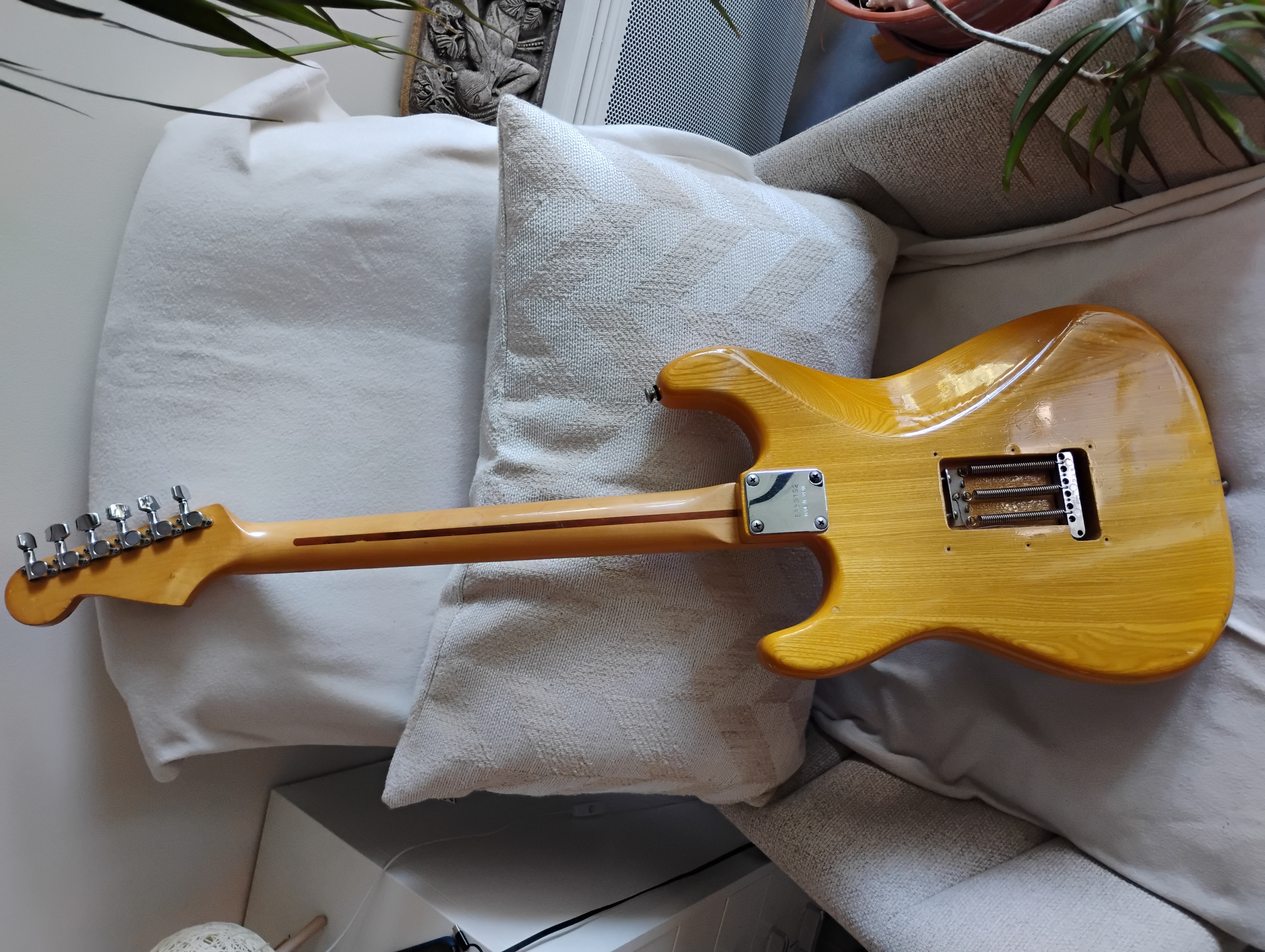 IMG 20250527 180237554