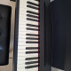 FP-30 FP-30