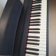 FP-30 FP-30