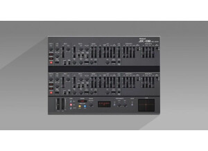 Momo-JX-08-Editor.jpg