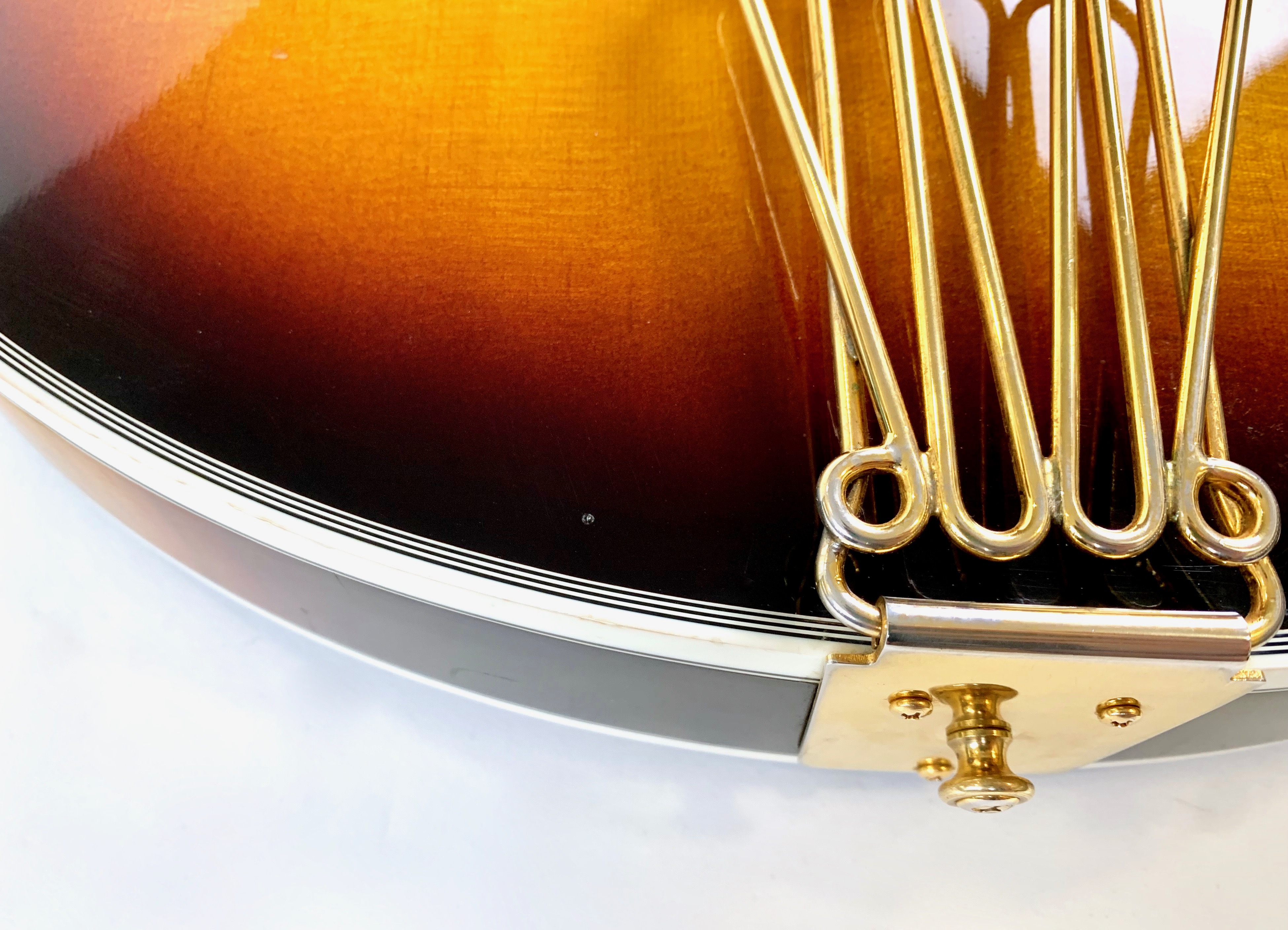 Gibson Byrdland (38097)